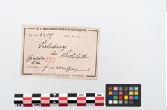 Etikett zu Bronzegürtelblech (NHMW-PRAE-024517)
